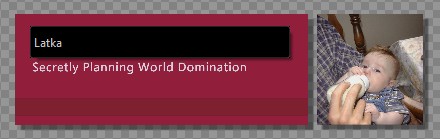 A customized lower third shown in the Preview panel