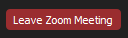 Leave Zoom Meeting button on the toolbar