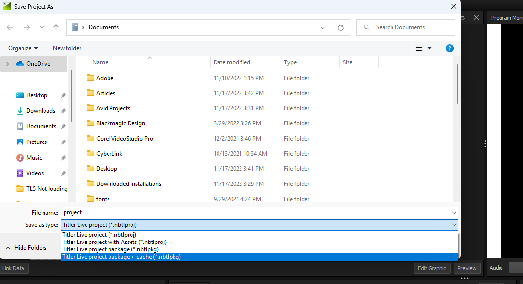 Project saved with assets and cache
